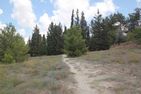 21657289422_989ece6cf9_o