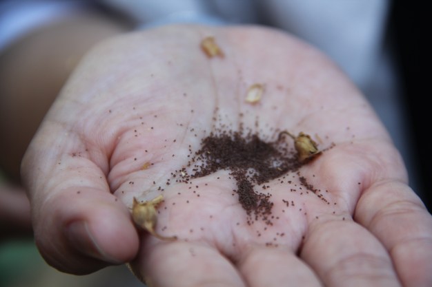 21656130042_fdec625f35_o