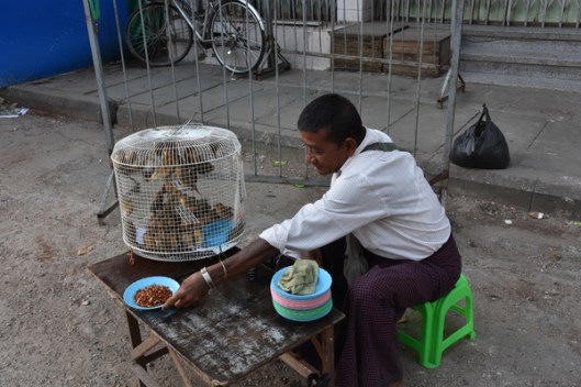 What are you selling