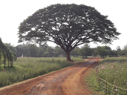 20181222_153614_resized