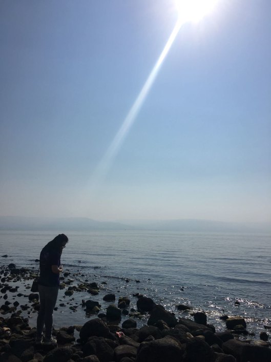 30549256197_09c080ad73_h