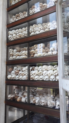 Webp.net-resizeimage