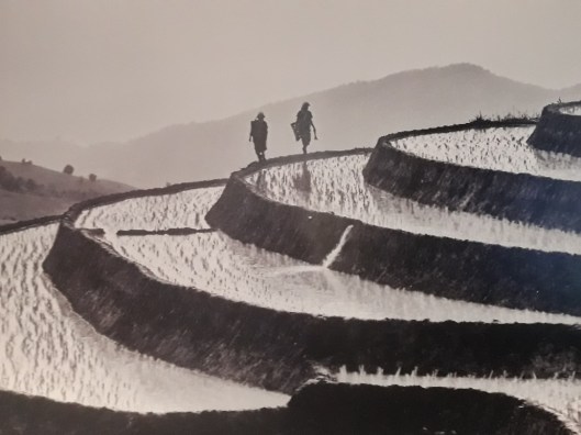 20190707_141755_resized